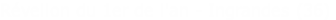 Réveilon du 1er de l'an - Ingrandes (36)
