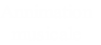 Annimation
musicale
